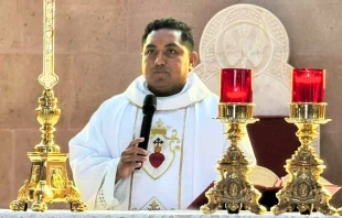 P. Héctor Alejandro Pérez Crédito: Parroquia San Francisco de Asís, Gaviotas Sur