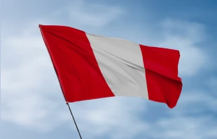 Imagen referencial. Crédito: Shutterstock