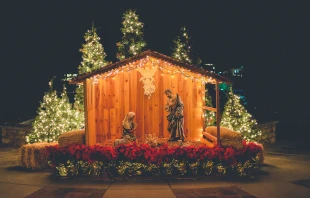 Llegó por fin el día de Navidad y, viendo San Francisco que todas las cosas que había pedido estaban dispuestas, “las contempló y se alegró” Crédito: Kenny Eliason / Unsplash