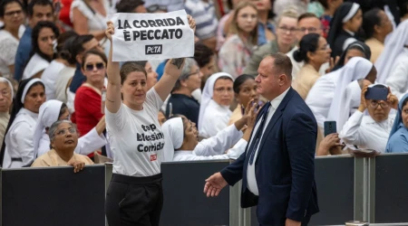 Activistas animalistas irrumpen durante una audiencia general con el Papa Francisco en el Vaticano.