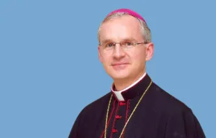 El Arzobispo titular de Sarsenterum, Mons. Petar Rajič. Crédito: Vicariato Apostólico del Norte de Arabia.