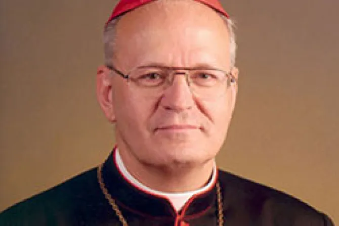 Cardenal Erdo expresa optimismo por decisión de Corte Europea sobre crucifijos