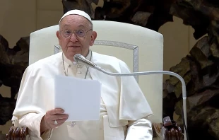 El Papa Francisco se dirige a los fieles en el Aula Pablo VI del Vaticano el 21 de agosto de 2024. Crédito: Vatican News.