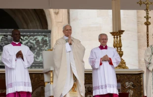 El Papa León XIV en la Misa de inicio de pontificado Crédito: Daniel Ibañez/EWTN News