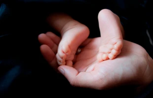 Imagen referencial. Crédito: bingngu93 / Pixabay.