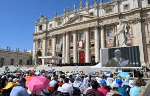 La Plaza de San Pedro en el Vaticano durante la canonización de San Carlo Acutis y San Pier Giorgio Frassati, el domingo 7 de septiembre. Crédito: Vatican Media.