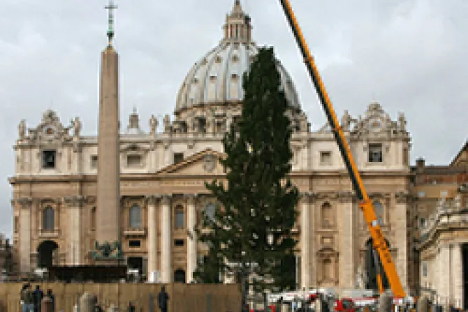 Desde los Alpes llegó árbol de Navidad que adornará Plaza de San Pedro
