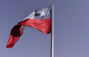 Imagen referencial Crédito:  Elias Almaguer/Unsplash