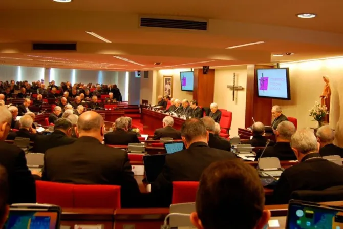 Asamblea Plenaria de la Conferencia Episcopal Española.
