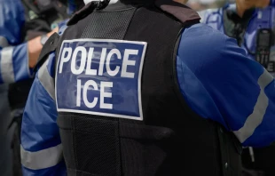 Agente de policía del ICE. Crédito: Shutterstock