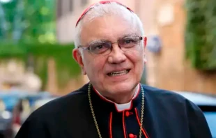 El Cardenal Porras precisó que no se pueden utilizar las instituciones públicas para tomar medidas discrecionales que beneficien solamente a una parcialidad política Crédito: Daniel Ibáñez - ACI Prensa