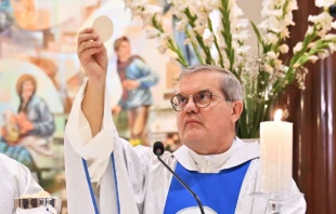 P. Pierluigi Cameroni, postulador general de las Causas de Santidad de la Congregación Salesiana Crédito: Salesianos Perú