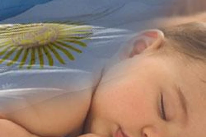 El aborto mata un hijo y destruye una mujer: Manifestación pro-vida en Argentina