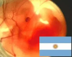 Corte Suprema no debería avalar aborto en Argentina