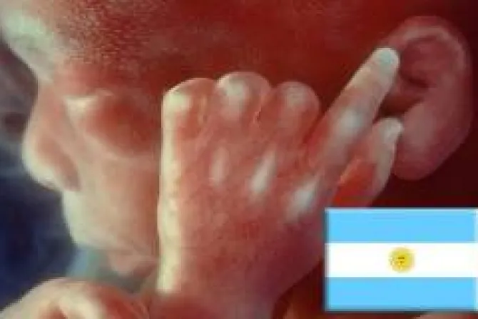 Pro-vidas logran suspender primer aborto no punible en Buenos Aires