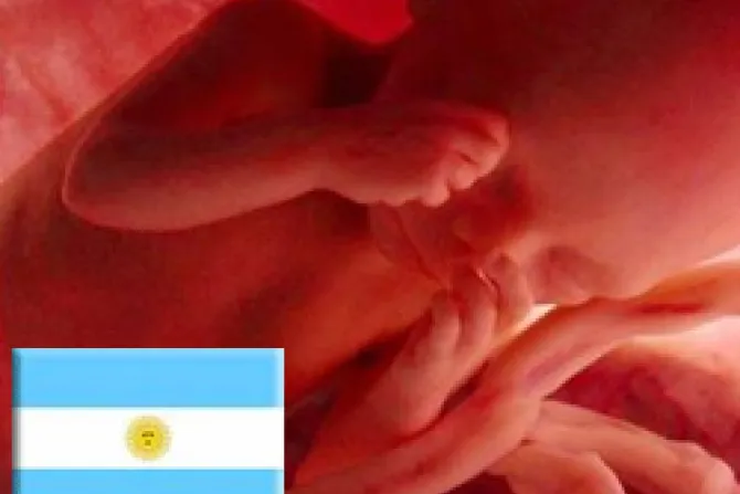 Pro-vidas rechazan nuevo aborto en Argentina: "Desaparición por decisión estatal"