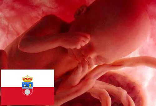 Cantabria financiará clínicas de aborto con 1,3 millones de euros