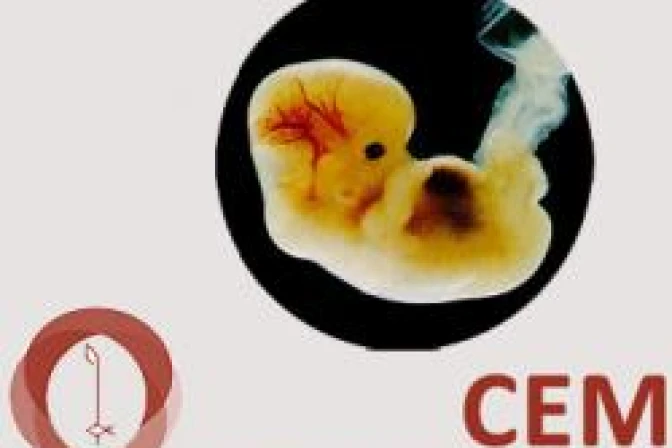 No es extraña la violencia en México si se permite el aborto