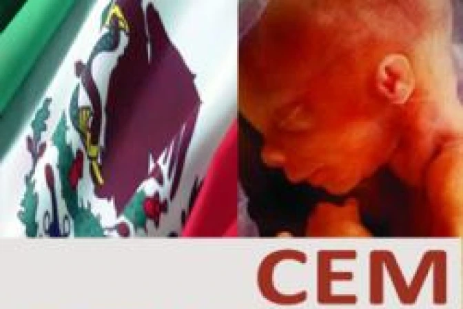 Vaticano: El Papa no llamó a México para influir en rechazo al aborto