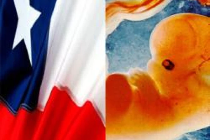 Chile: Iglesias cristianas exigen no aprobar aborto ni "matrimonio gay"