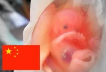 Imagen referencial. Foto: suparna sinha (CC BY-SA 2.0)