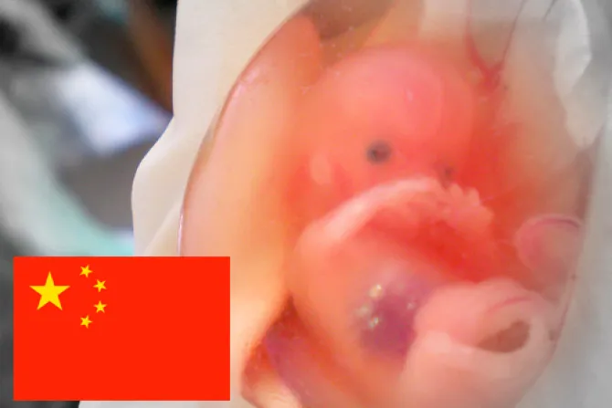 Mujer china narra cómo autoridades la obligaron al aborto a los siete meses de embarazo