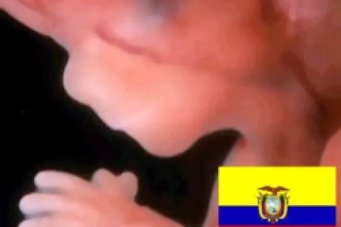 Ecuador: Piden no liberalizar aborto usando causal de violación
