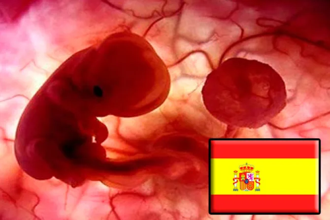 Pro-vidas esperan de Gallardón cumpla plazo anunciado para reformar ley del aborto