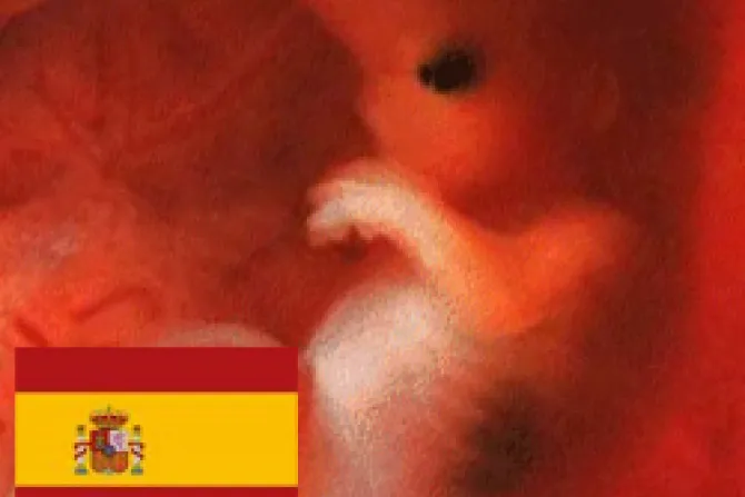 E-cristians pide a TC suspender la aplicación de la nueva ley del aborto en España