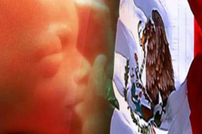 Experta: Corte Suprema solo puede admitir blindaje de la vida en estados mexicanos