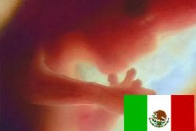 Más de 140 organizaciones pro-vida en México rechazan aborto a través de Corte Suprema