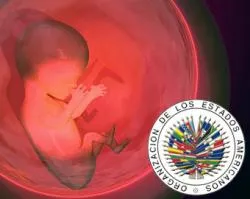 OEA considera que aborto no se opone a derechos humanos
