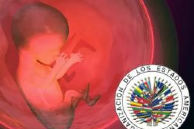 OEA considera que aborto no se opone a derechos humanos
