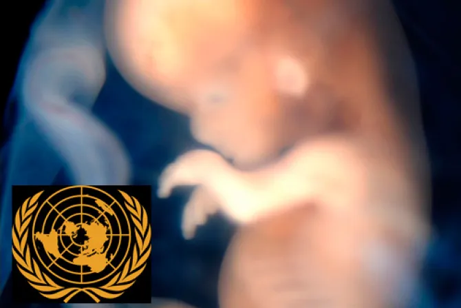 Comité de ONU presiona a Bolivia para que facilite abortos