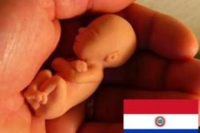 Paraguay ofrece a ONU "debate abierto" para despenalizar aborto