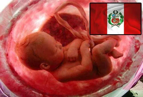 Gobierno español programó 5 millones de dólares para promover aborto en Perú en 2012