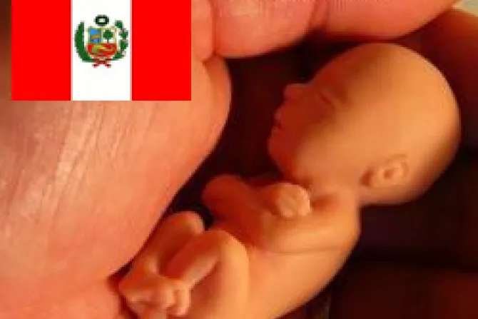 Es abusivo y reprobable proponer aborto en Perú