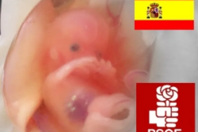 PSOE aprobó ley del aborto para distraer a la gente de la crisis económica