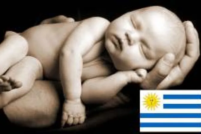Arzobispado presenta recurso contra ley del aborto en Uruguay