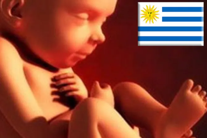 Aborto en Uruguay: Exhortan a apoyar importante referéndum