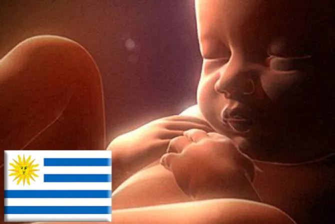 Aborto en Uruguay: Piden "vencer" comodidad del hogar para votar por referéndum