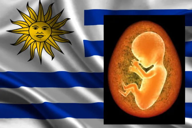 Aborto en Uruguay: Lucha pro-vida seguirá aunque no haya referéndum
