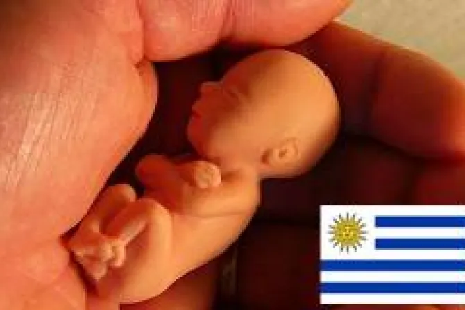 Uruguay: Pro-vidas denunciarán aprobación del aborto ante OEA
