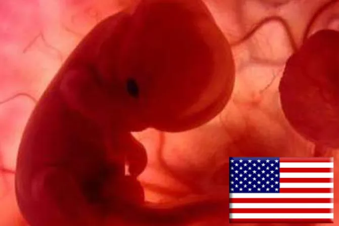 EEUU: Arkansas prohíbe aborto después de las 12 semanas de gestación