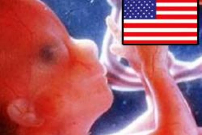 Obispos de Estados Unidos invitan a celebrar el "Domingo por el respeto a la vida"