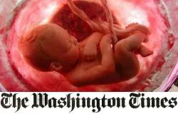 Artículo del Washington Times: Promotores del aborto inflan cifras