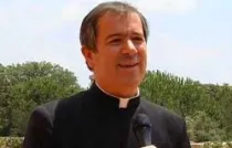 P. Álvaro Corcuera