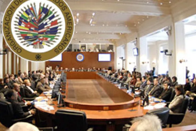 Develan estrategia y presiones de lobby homosexual en asamblea de OEA