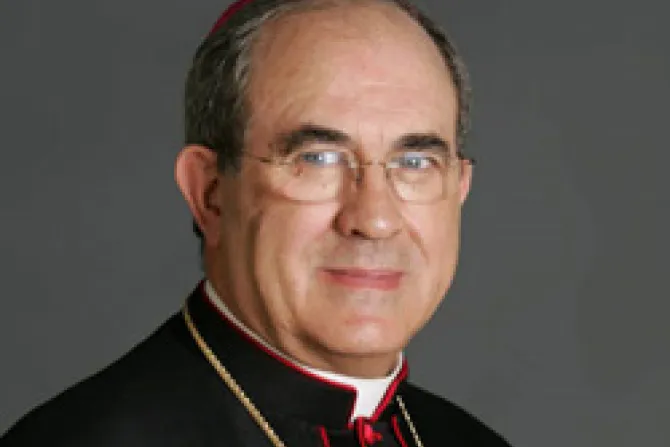 Mons. Asenjo: Acoso secularista debe estimular a evangelizar más