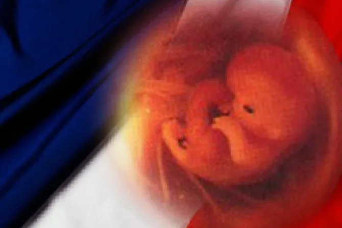 Obispos de Francia repudian manipulación de "bebé medicamento"